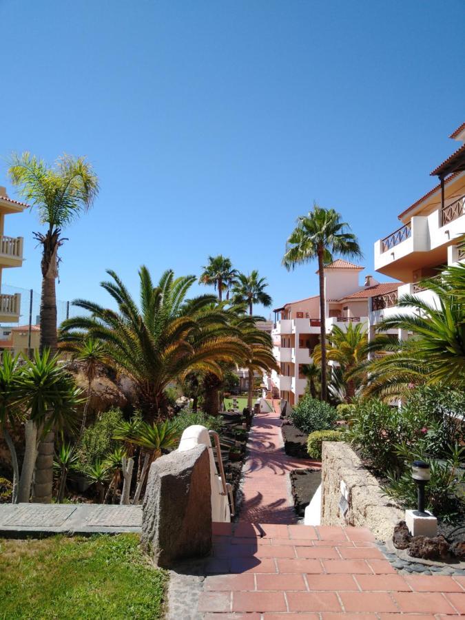 Forest Flat - Big Heated Pool, Terrace, Tv Channels, Golf Courses San Miguel de Abona Exterior photo