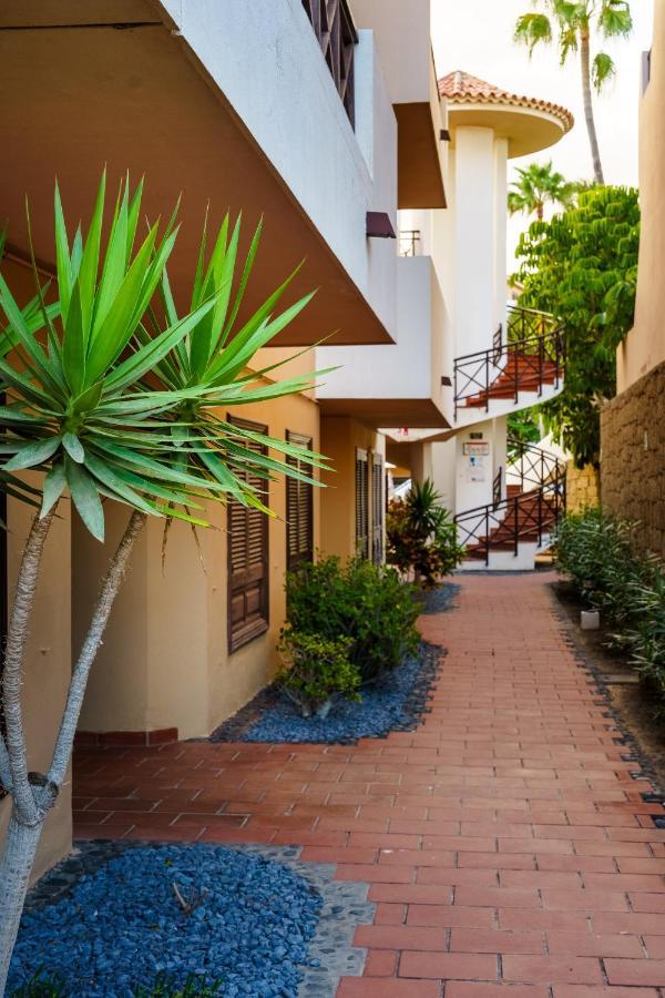 Forest Flat - Big Heated Pool, Terrace, Tv Channels, Golf Courses San Miguel de Abona Exterior photo